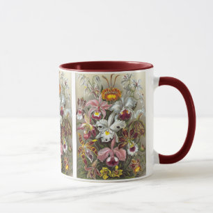 Mug Orchidées Ernst Haeckel Fine Art