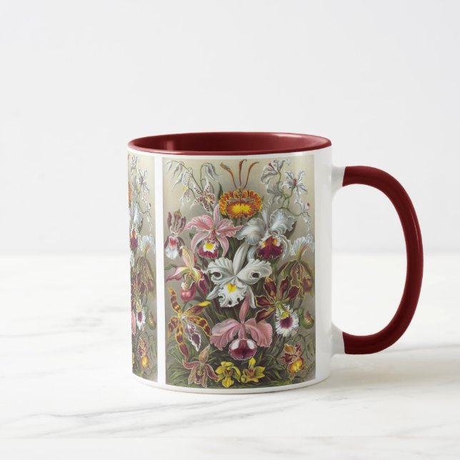 Mug Orchidées Ernst Haeckel Fine Art (Droite)