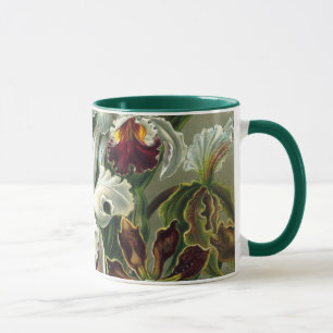 Mug Orchidées Ernst Haeckel, Fleurs Vintages de la for