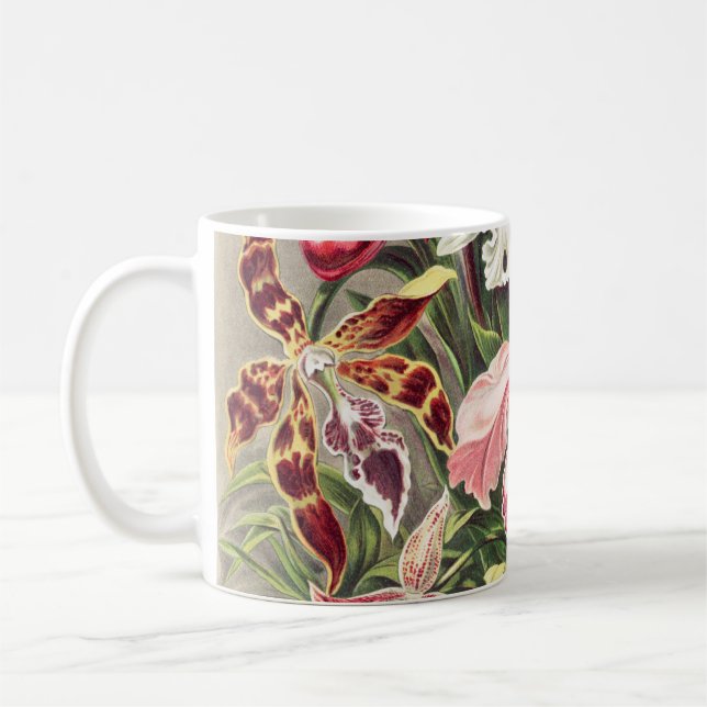 Mug Orchidées, Orchidées Denusblumen par Ernst Haeckel (Gauche)