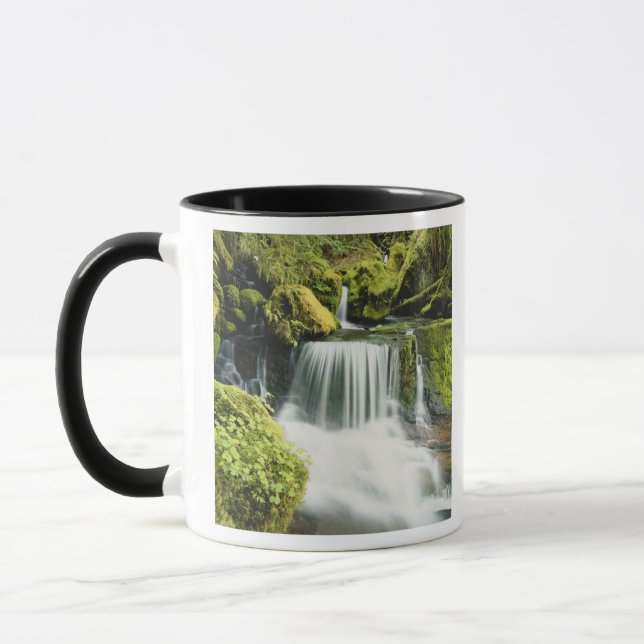 Mug Oregon, Cascade dans le parc national Willamette (Gauche)