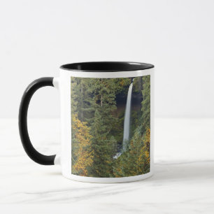 Mug Oregon, parc d'État de Silver Falls, North Falls