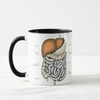 Mug Organes digestifs
