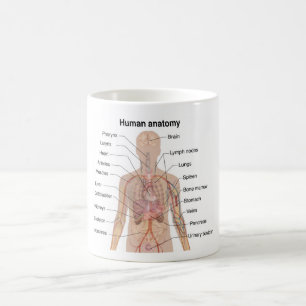 Mug Organes internes Anatomie du corps humain