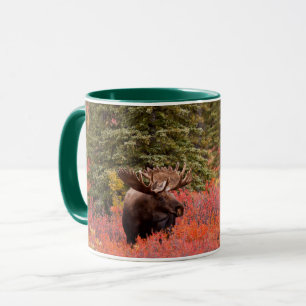Mug Orignal debout dans un bouleau nain rouge