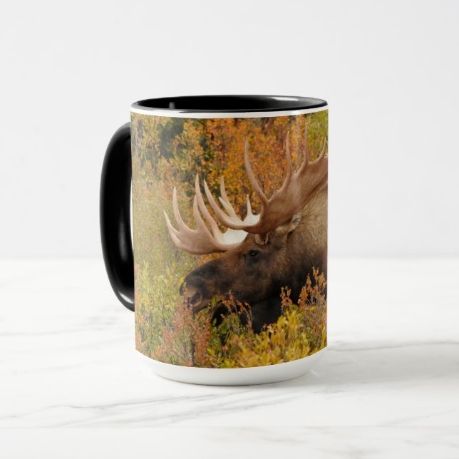 Mug Orignal | Parc national de Denali, Alaska (Devant gauche)