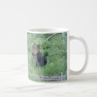 Mug Orignaux 2 de Greenville