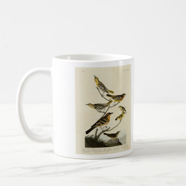 Mug Orioles, Thrushes, des oiseaux d'Amérique d'Audubo (Gauche)