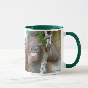 Mug Orphelin secouru par International de base