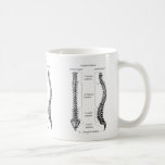 Mug Os du bassin<br><div class="desc">Le mâle humain et le bassin femelle</div>