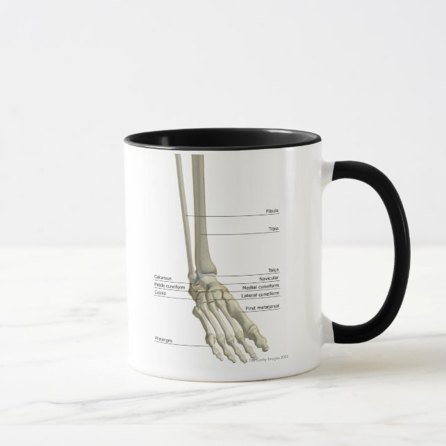 Mug Os du pied 6 (Droite)