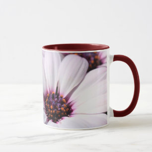 Mug Osteospermum