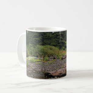 Mug Oswald West State Park, Oregon Coast