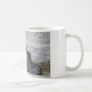 Mug Otaria flavescens