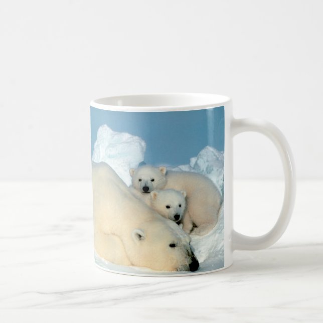 Mug Ours blanc et CUB par Steve Amstrup (Droite)