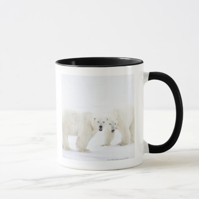 Mug Ours blancs se tenant sur la neige après le jeu de (Droite)