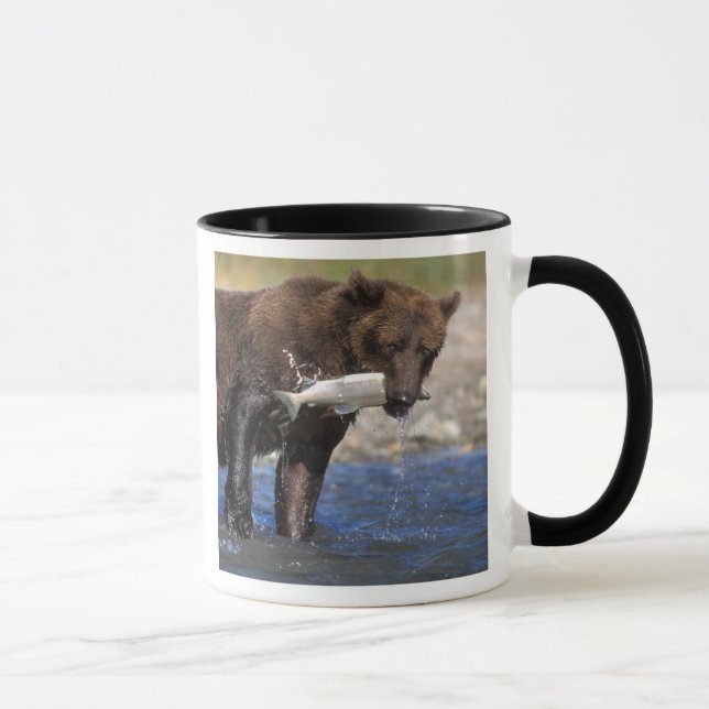 Mug ours Brown, grizzli, avec prises saumons, (Droite)