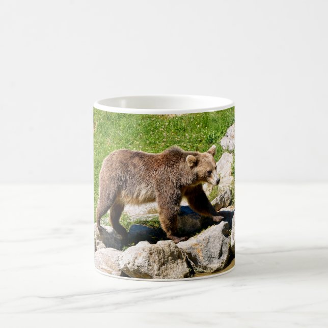 Mug Ours Brown (Ursus arctos) vu du profil (Centre)