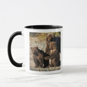 Mug Ours brun, grizzly, truie avec ses oursons sur la