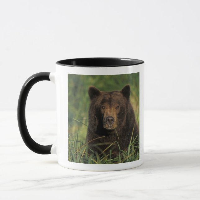 Mug ours brun, Ursus arctos, grizzly, Ursus 9 (Gauche)