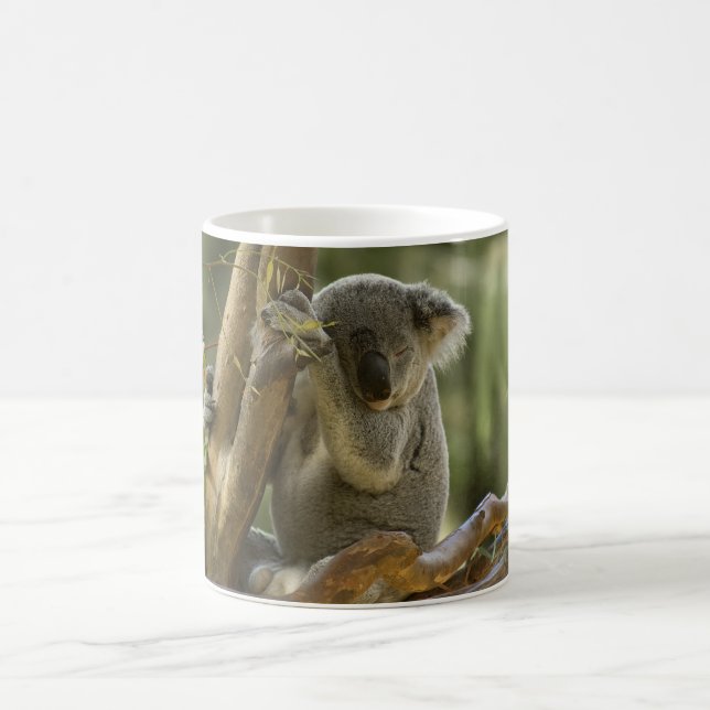 Mug Ours de koala somnolent (Centre)