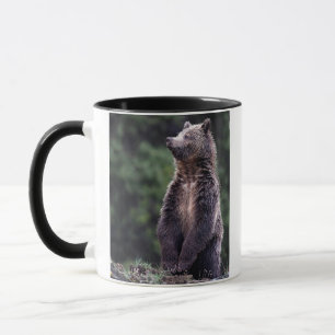 Mug Ours gris debout