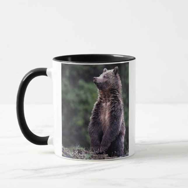 Mug Ours gris debout (Gauche)