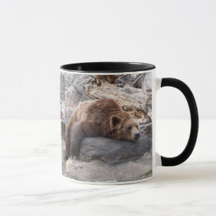 Mug Ours gris se reposant sur la roche