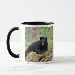 Mug Ours noir sur une bille de vieille forêt dans la