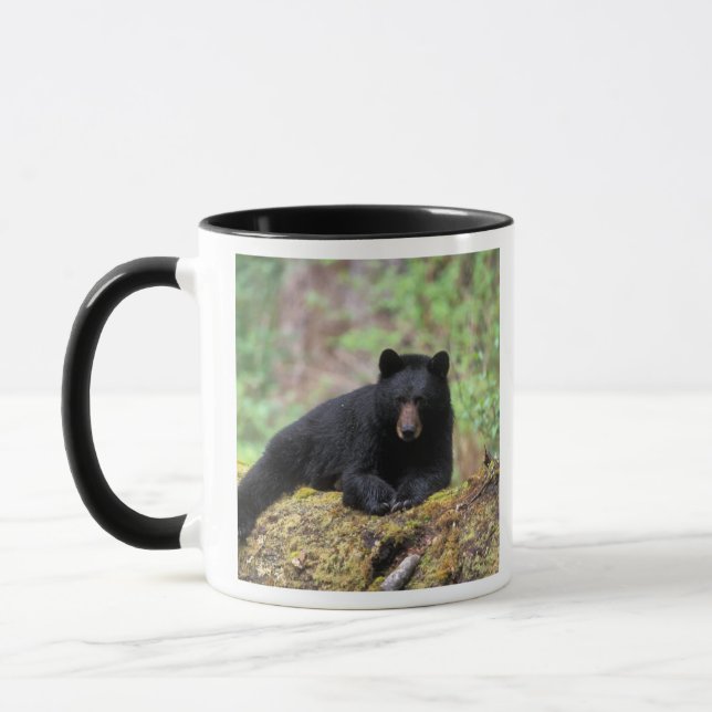 Mug Ours noir sur une bille de vieille forêt dans la (Gauche)