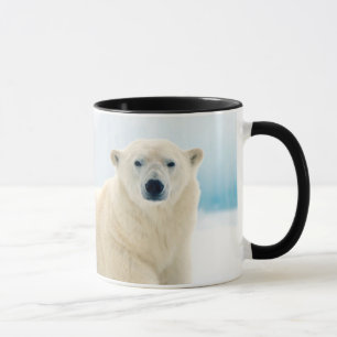 Mug Ours polaire adulte grand verrat sur la glace d'ét