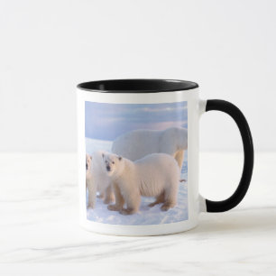 Mug Ours polaire femelle avec des oursons sur la banqu