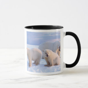 Mug Ours polaire femelle avec des oursons sur la banqu