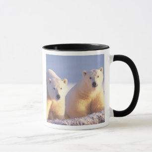 Mug Ours polaire femelle avec ourson sur la banquise