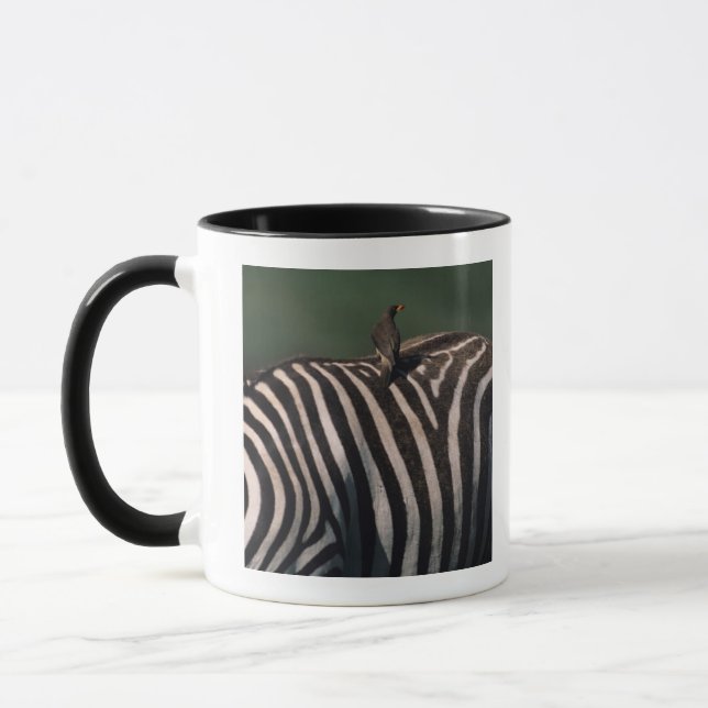 Mug oxpecker Jaune-affiché (africanus de Buphagus) (Gauche)