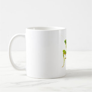 Mug P est pour prier Mantis