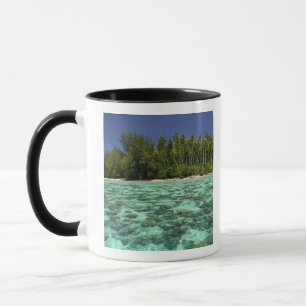 Mug Pacifique Sud, Polynésie française, Moorea 3
