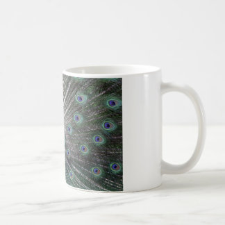 Mug Pacock