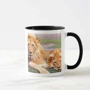 Mug Paire de lions africains, Panthera leo, Tanzanie