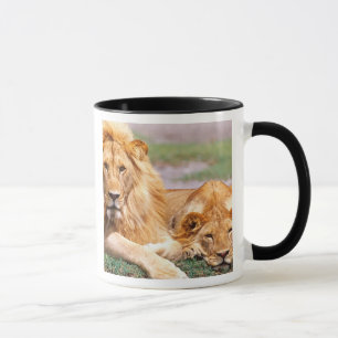 Mug Paire de lions d'Afrique, Panthera leo, Tanzanie