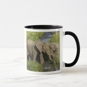 Mug Paire d'éléphants d'Afrique Masai Mara