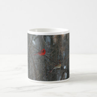 Mug Paires cardinales