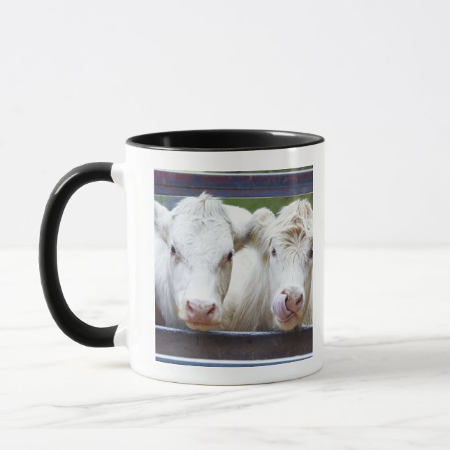 Mug Paires de jeunes vaches blanches au trailor de (Gauche)