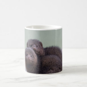 Mug Paires naines mignonnes de mangouste