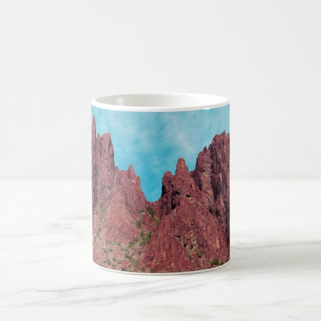 Mug Palm Canyon Arizona (Centre)