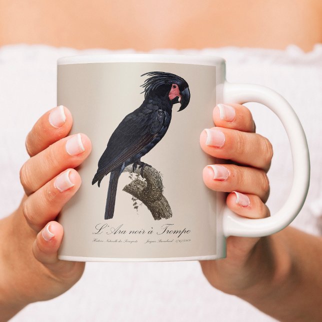 Mug Palmisano Cacatoès, perroquet Probosciger aterrimu (L' Ara Noir a Trompe / Palm Cockatoo. Coffee Mug)