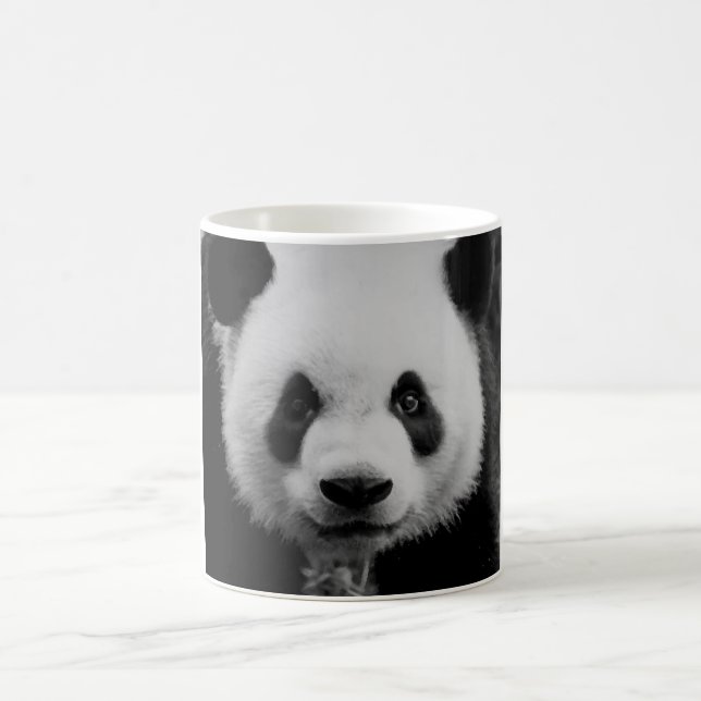 Mug Panda (Centre)
