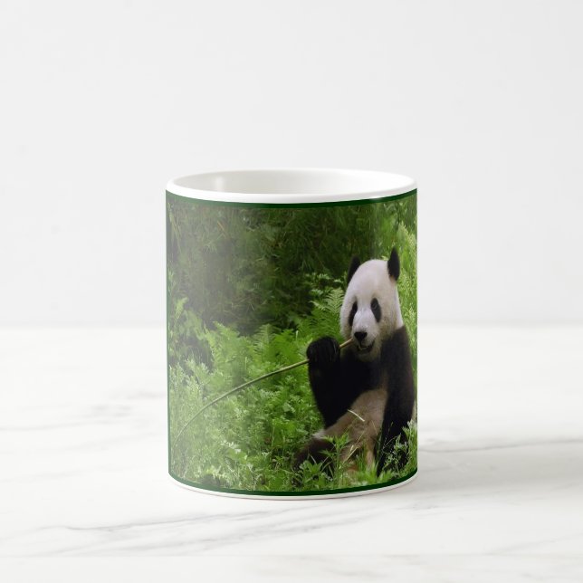 Mug Panda (Centre)