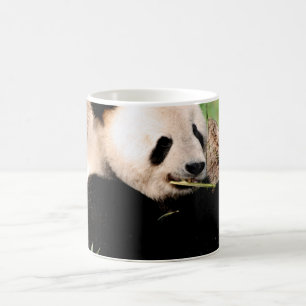 Mug Panda chinois