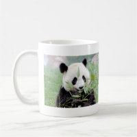 Panda géant de la photo de grenades. Panda.